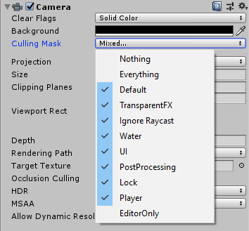 Removing the EditorOnly layer from the camera Culling Mask
