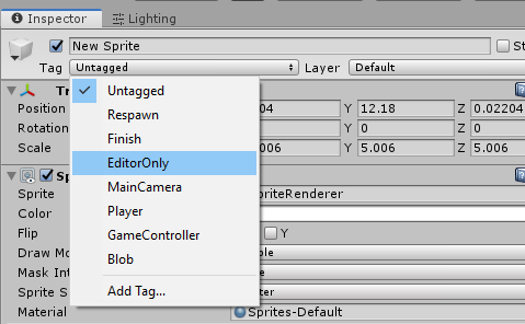 The built-in EditorOnly tag